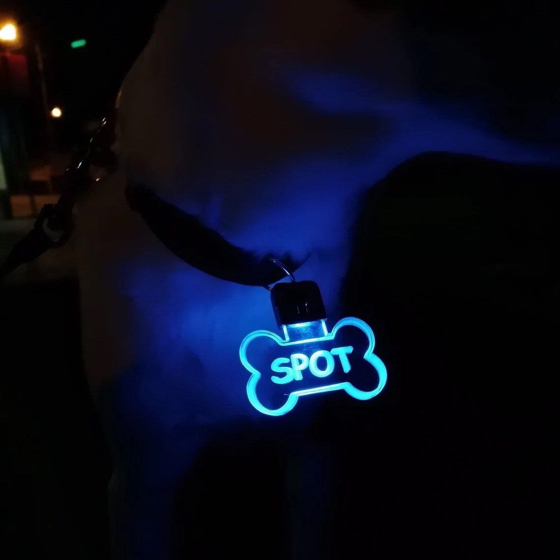 แท็ก ID สัตว์เลี้ยง LED อะคริล - Industrial Laser Beam บทวิจารณ์และราคา